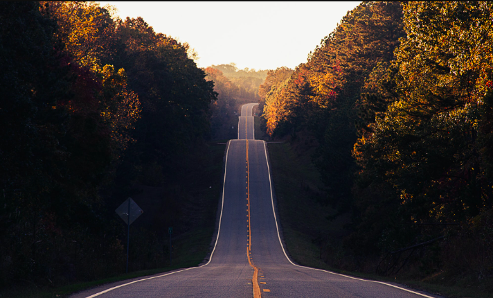Financial Roadmap Planning for Businesses